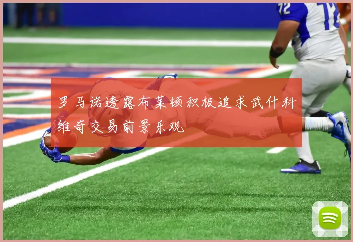 罗马诺透露布莱顿积极追求武什科维奇交易前景乐观